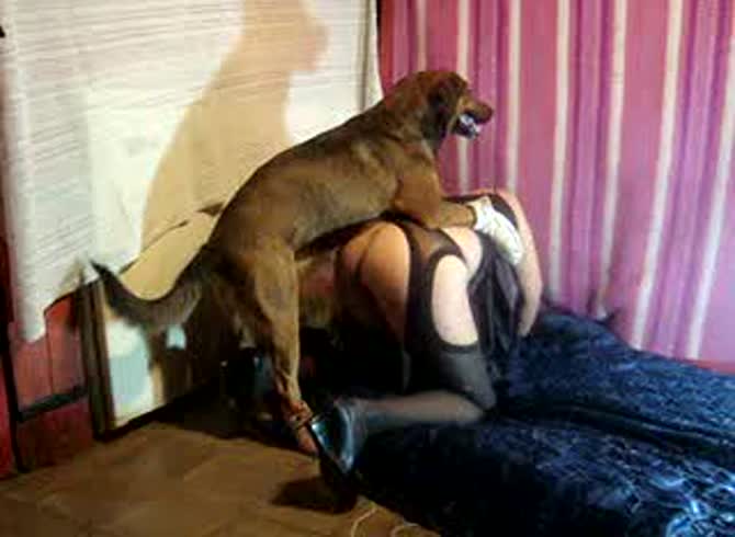 Video :Beastie gal bends over her ass and have dog sex
